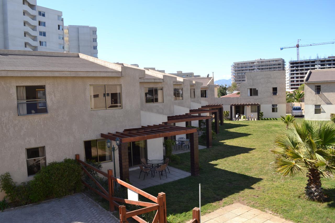Ananucas Iv * La Serena